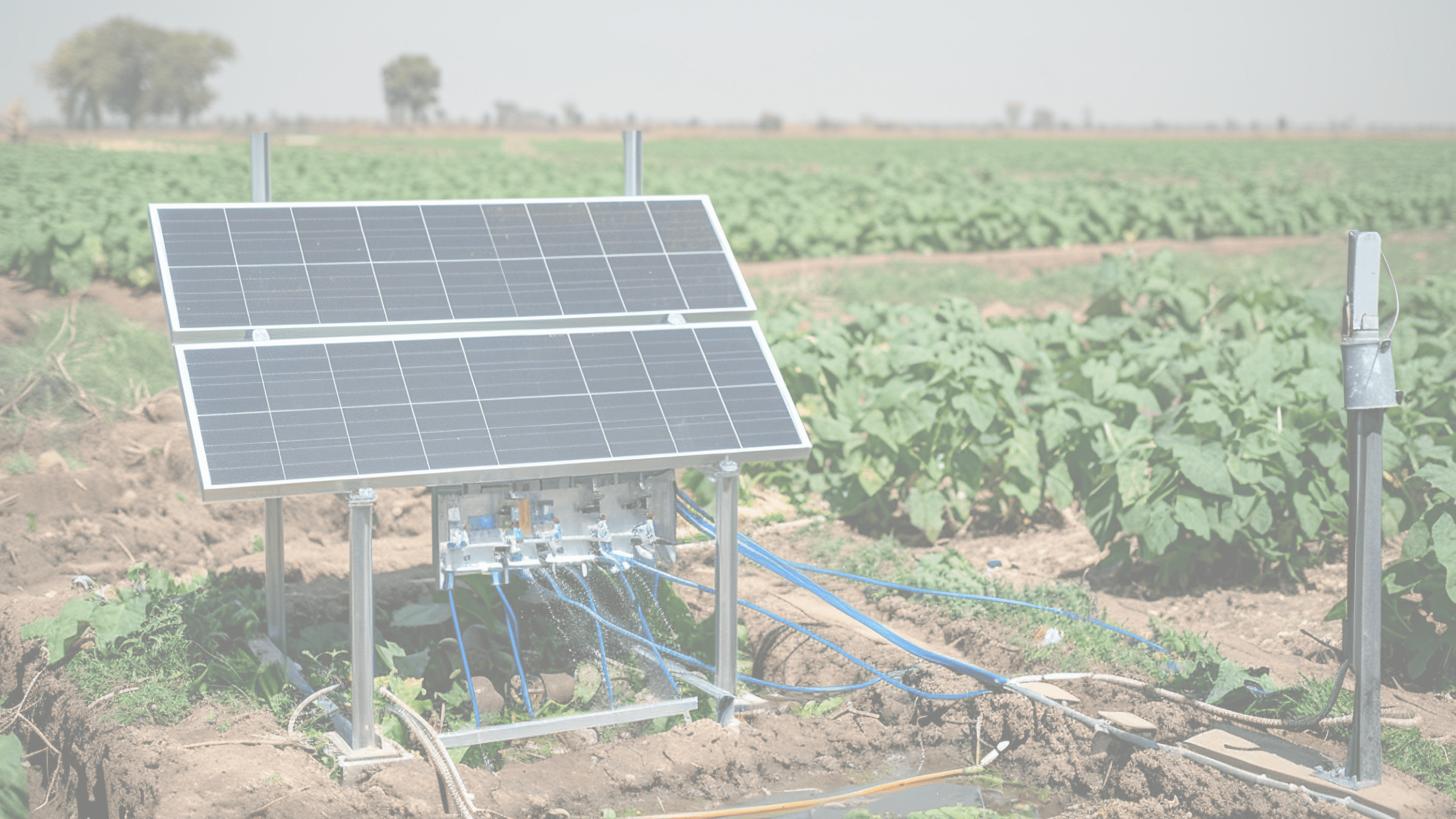 납품 실적 배경